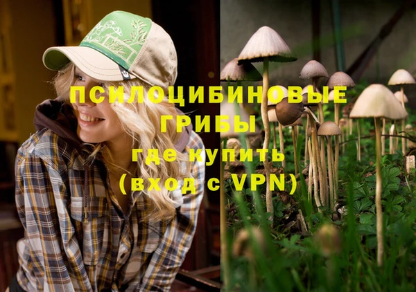 спайс Лагань